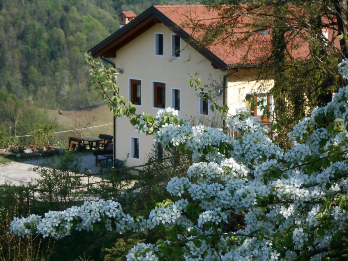 Agriturismo La Casa Nei Boschi Colderu Exterior foto